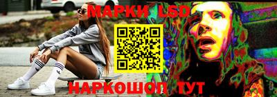 тгк Дмитров