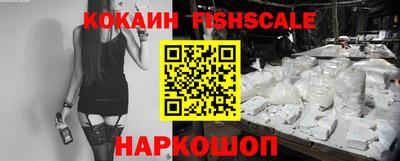 тгк Дмитров