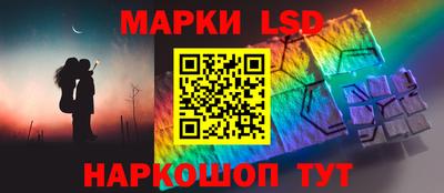 тгк Дмитров