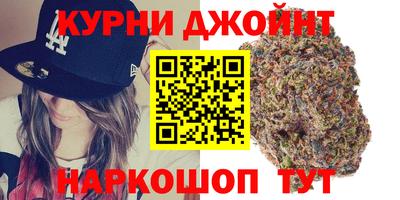 тгк Дмитров