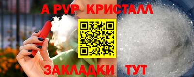 тгк Дмитров